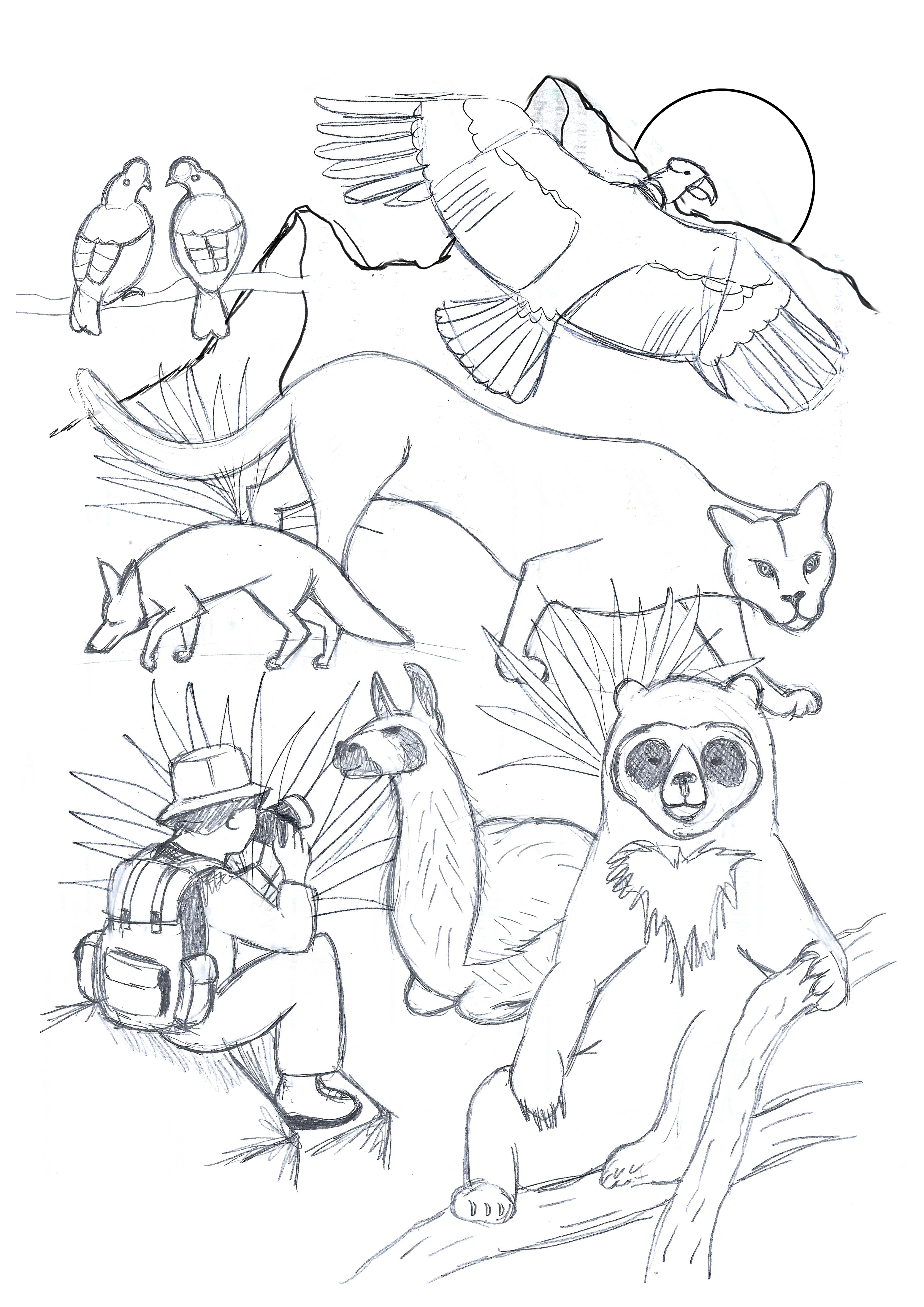 Initial sketch